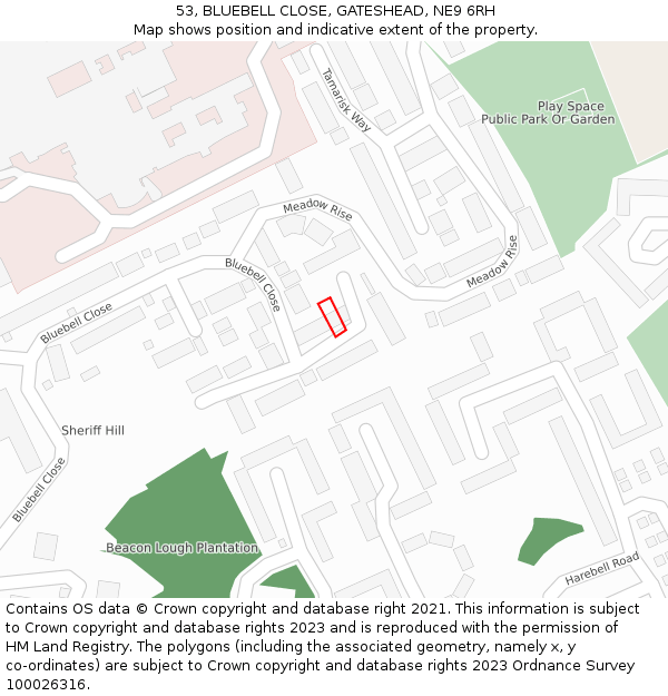 53, BLUEBELL CLOSE, GATESHEAD, NE9 6RH: Location map and indicative extent of plot