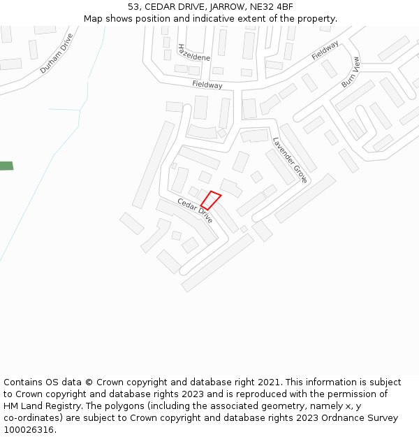 53, CEDAR DRIVE, JARROW, NE32 4BF: Location map and indicative extent of plot