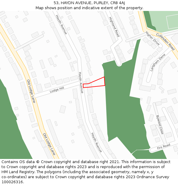 53, HAYDN AVENUE, PURLEY, CR8 4AJ: Location map and indicative extent of plot