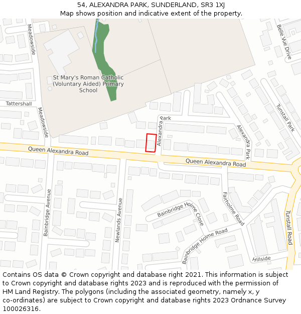 54, ALEXANDRA PARK, SUNDERLAND, SR3 1XJ: Location map and indicative extent of plot