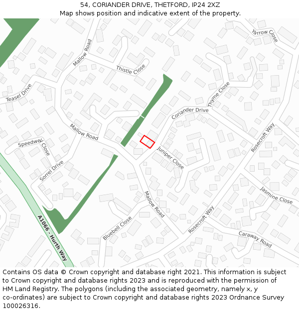 54, CORIANDER DRIVE, THETFORD, IP24 2XZ: Location map and indicative extent of plot