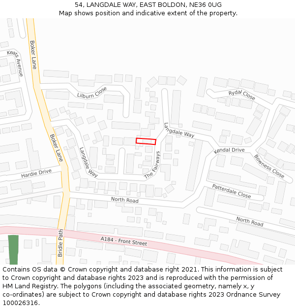 54, LANGDALE WAY, EAST BOLDON, NE36 0UG: Location map and indicative extent of plot