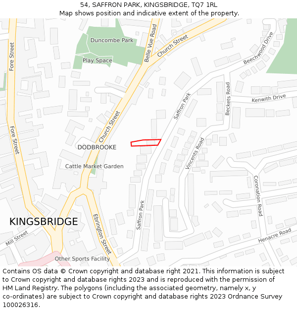 54, SAFFRON PARK, KINGSBRIDGE, TQ7 1RL: Location map and indicative extent of plot