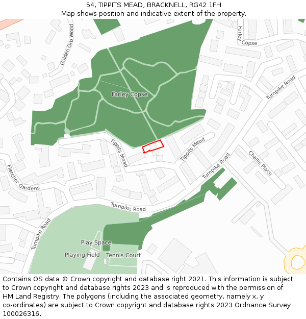 54, TIPPITS MEAD, BRACKNELL, RG42 1FH: Location map and indicative extent of plot