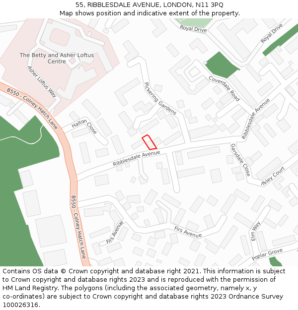 55, RIBBLESDALE AVENUE, LONDON, N11 3PQ: Location map and indicative extent of plot