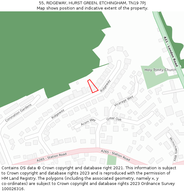 55, RIDGEWAY, HURST GREEN, ETCHINGHAM, TN19 7PJ: Location map and indicative extent of plot