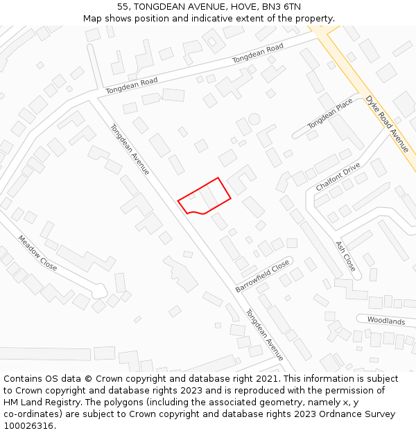 55, TONGDEAN AVENUE, HOVE, BN3 6TN: Location map and indicative extent of plot