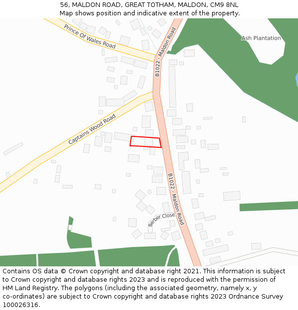 56, MALDON ROAD, GREAT TOTHAM, MALDON, CM9 8NL: Location map and indicative extent of plot
