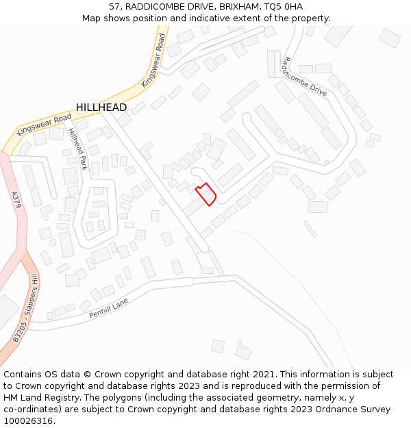57, RADDICOMBE DRIVE, BRIXHAM, TQ5 0HA: Location map and indicative extent of plot