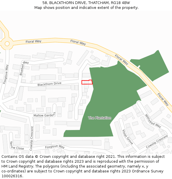 58, BLACKTHORN DRIVE, THATCHAM, RG18 4BW: Location map and indicative extent of plot
