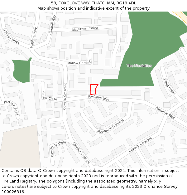 58, FOXGLOVE WAY, THATCHAM, RG18 4DL: Location map and indicative extent of plot