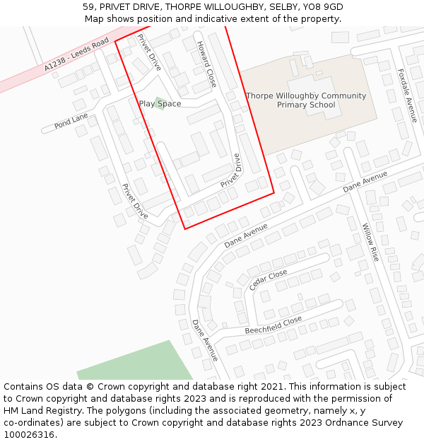 59, PRIVET DRIVE, THORPE WILLOUGHBY, SELBY, YO8 9GD: Location map and indicative extent of plot