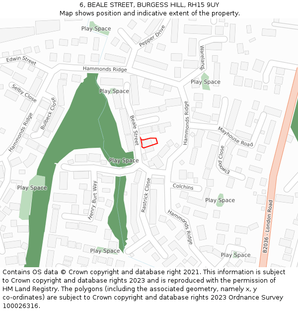 6, BEALE STREET, BURGESS HILL, RH15 9UY: Location map and indicative extent of plot