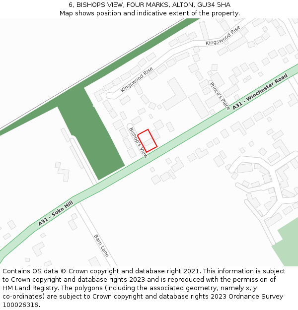 6, BISHOPS VIEW, FOUR MARKS, ALTON, GU34 5HA: Location map and indicative extent of plot