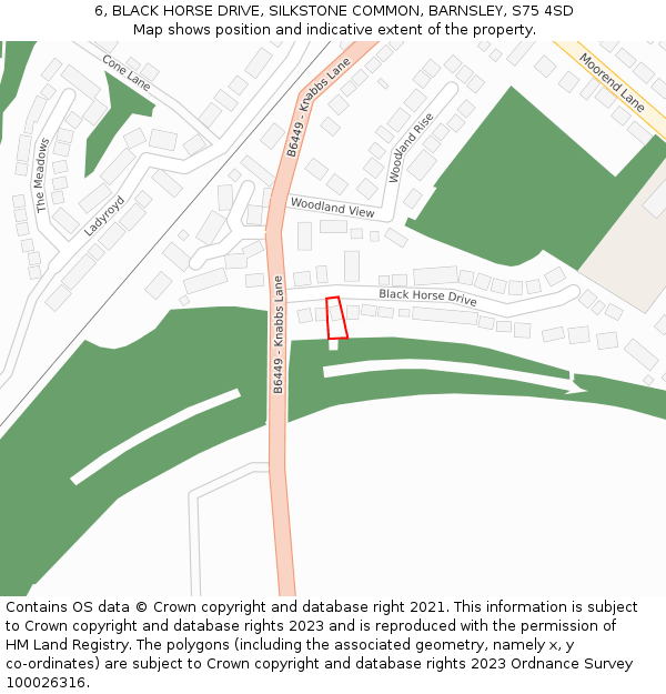 6, BLACK HORSE DRIVE, SILKSTONE COMMON, BARNSLEY, S75 4SD: Location map and indicative extent of plot