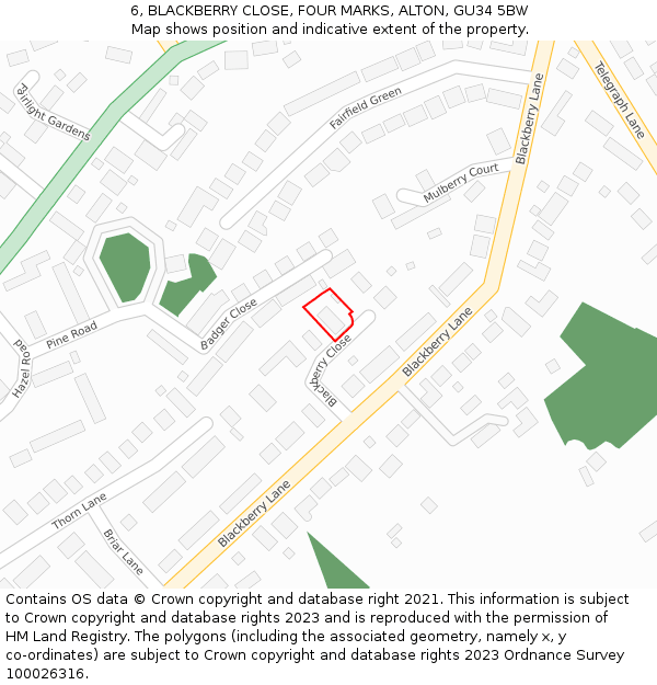 6, BLACKBERRY CLOSE, FOUR MARKS, ALTON, GU34 5BW: Location map and indicative extent of plot