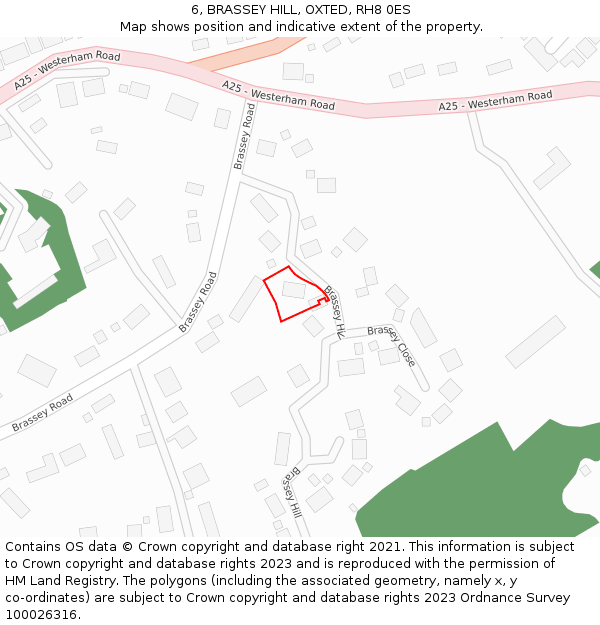 6, BRASSEY HILL, OXTED, RH8 0ES: Location map and indicative extent of plot