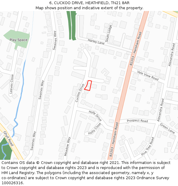 6, CUCKOO DRIVE, HEATHFIELD, TN21 8AR: Location map and indicative extent of plot