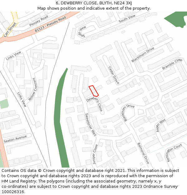 6, DEWBERRY CLOSE, BLYTH, NE24 3XJ: Location map and indicative extent of plot