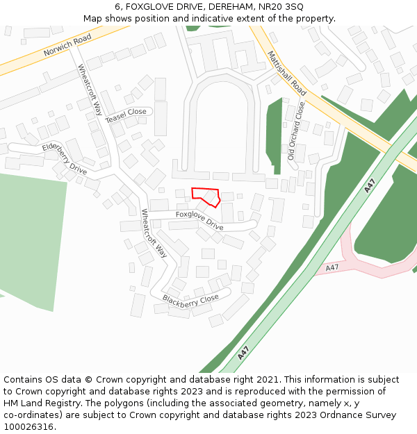 6, FOXGLOVE DRIVE, DEREHAM, NR20 3SQ: Location map and indicative extent of plot