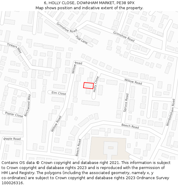 6, HOLLY CLOSE, DOWNHAM MARKET, PE38 9PX: Location map and indicative extent of plot