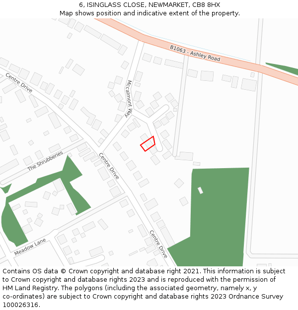 6, ISINGLASS CLOSE, NEWMARKET, CB8 8HX: Location map and indicative extent of plot