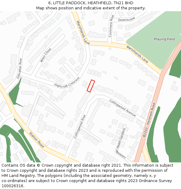 6, LITTLE PADDOCK, HEATHFIELD, TN21 8HD: Location map and indicative extent of plot