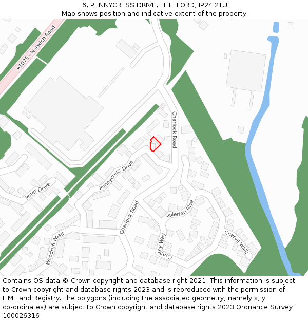 6, PENNYCRESS DRIVE, THETFORD, IP24 2TU: Location map and indicative extent of plot