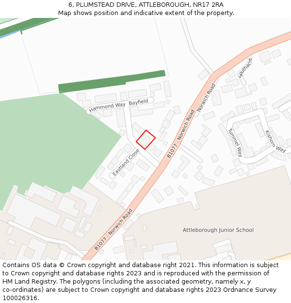 6, PLUMSTEAD DRIVE, ATTLEBOROUGH, NR17 2RA: Location map and indicative extent of plot