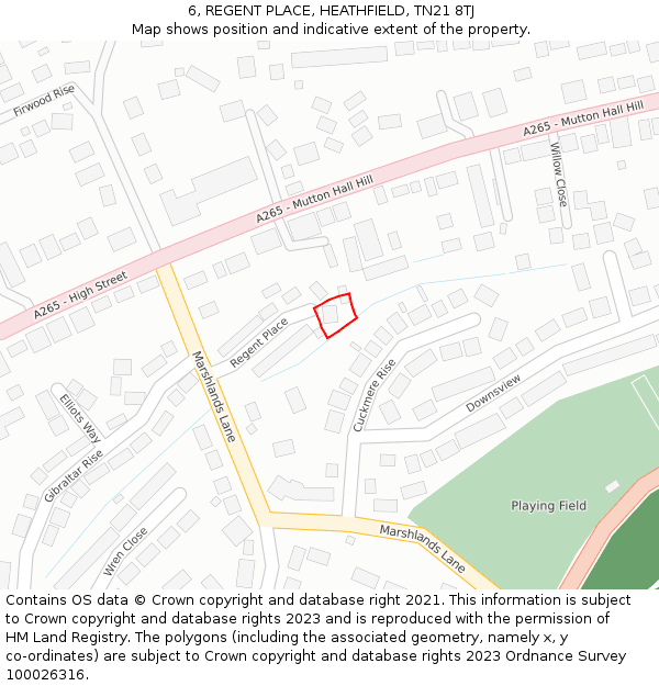 6, REGENT PLACE, HEATHFIELD, TN21 8TJ: Location map and indicative extent of plot