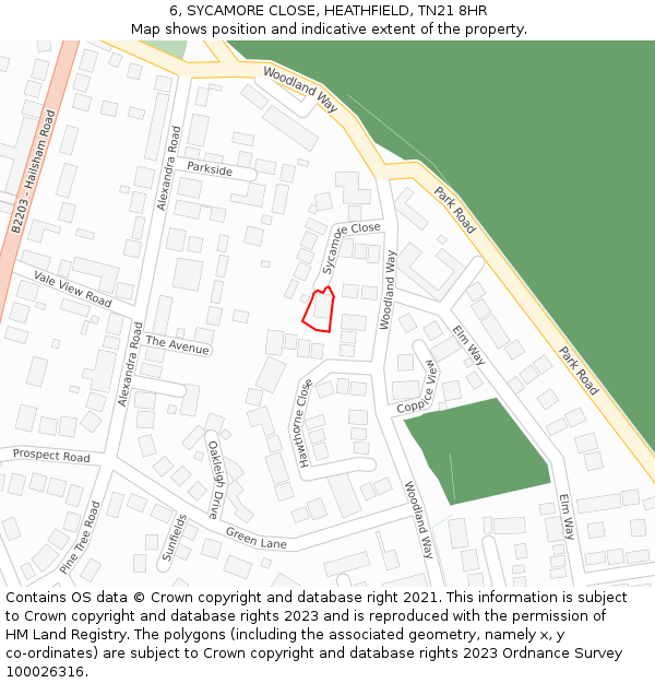 6, SYCAMORE CLOSE, HEATHFIELD, TN21 8HR: Location map and indicative extent of plot