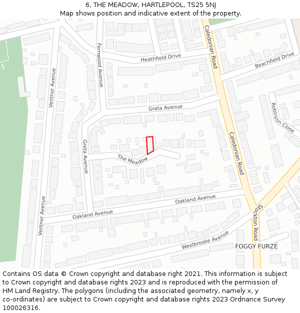 6, THE MEADOW, HARTLEPOOL, TS25 5NJ: Location map and indicative extent of plot