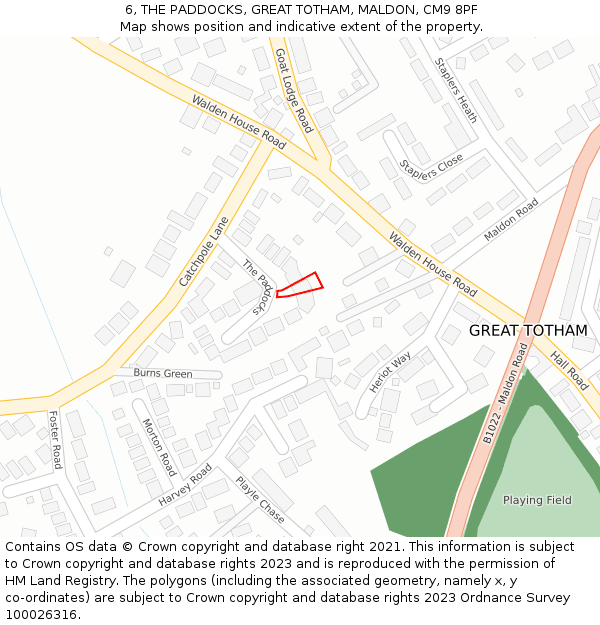 6, THE PADDOCKS, GREAT TOTHAM, MALDON, CM9 8PF: Location map and indicative extent of plot