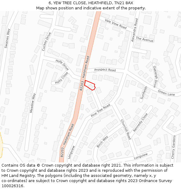 6, YEW TREE CLOSE, HEATHFIELD, TN21 8AX: Location map and indicative extent of plot