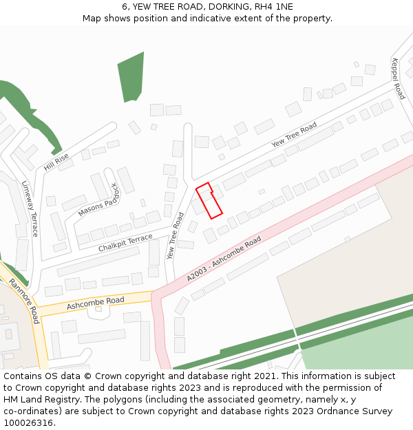 6, YEW TREE ROAD, DORKING, RH4 1NE: Location map and indicative extent of plot