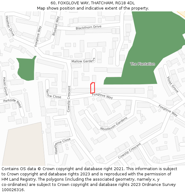 60, FOXGLOVE WAY, THATCHAM, RG18 4DL: Location map and indicative extent of plot