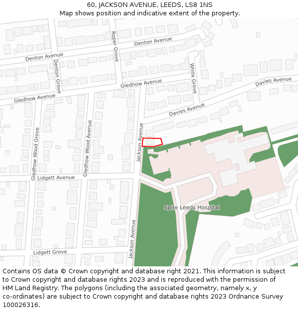 60, JACKSON AVENUE, LEEDS, LS8 1NS: Location map and indicative extent of plot
