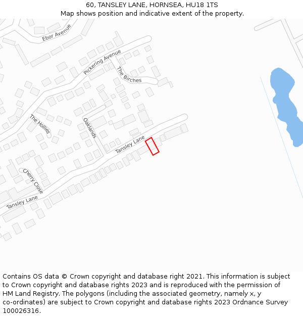 60, TANSLEY LANE, HORNSEA, HU18 1TS: Location map and indicative extent of plot