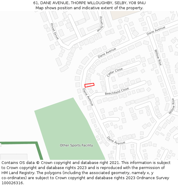 61, DANE AVENUE, THORPE WILLOUGHBY, SELBY, YO8 9NU: Location map and indicative extent of plot