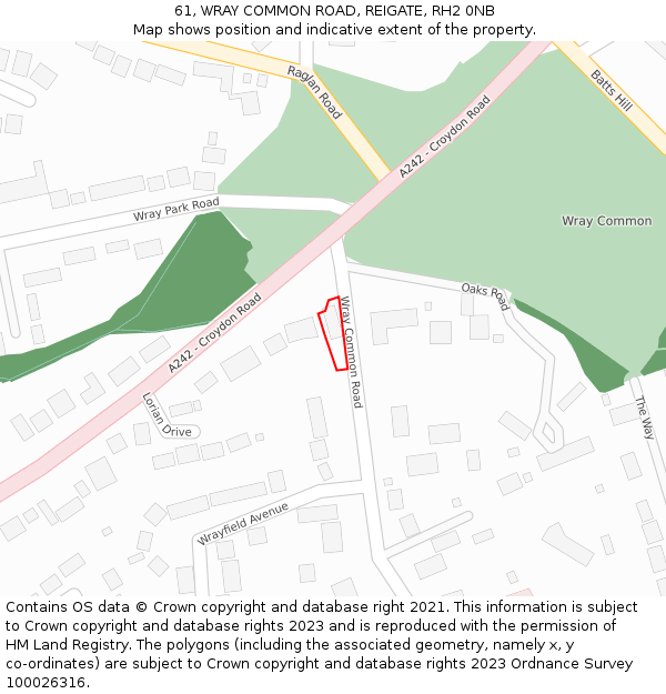 61, WRAY COMMON ROAD, REIGATE, RH2 0NB: Location map and indicative extent of plot