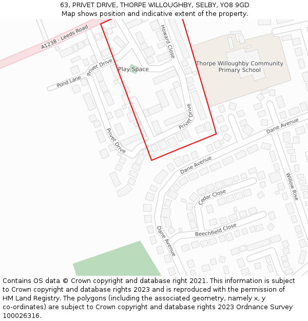 63, PRIVET DRIVE, THORPE WILLOUGHBY, SELBY, YO8 9GD: Location map and indicative extent of plot