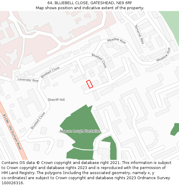 64, BLUEBELL CLOSE, GATESHEAD, NE9 6RF: Location map and indicative extent of plot