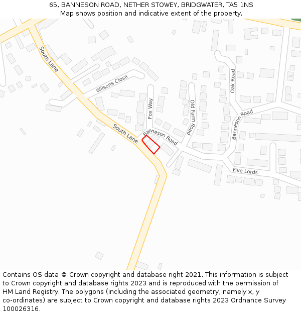 65, BANNESON ROAD, NETHER STOWEY, BRIDGWATER, TA5 1NS: Location map and indicative extent of plot