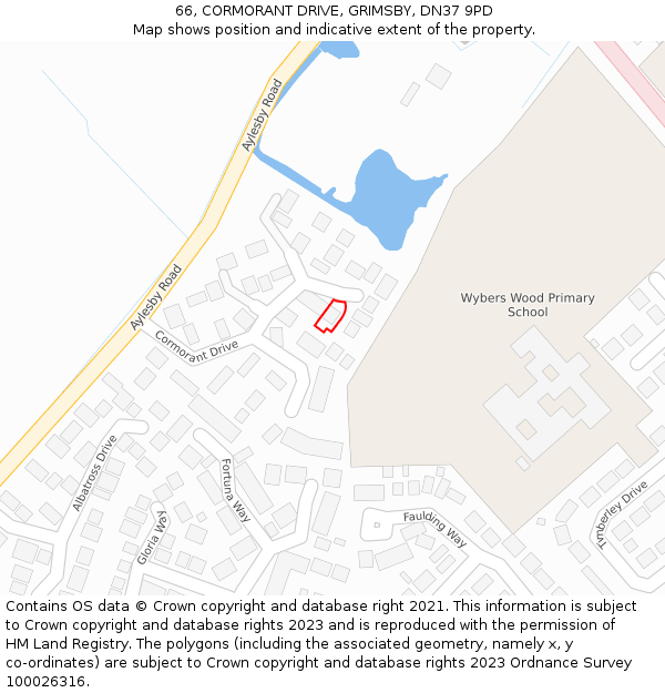 66, CORMORANT DRIVE, GRIMSBY, DN37 9PD: Location map and indicative extent of plot
