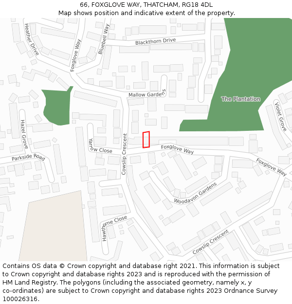 66, FOXGLOVE WAY, THATCHAM, RG18 4DL: Location map and indicative extent of plot