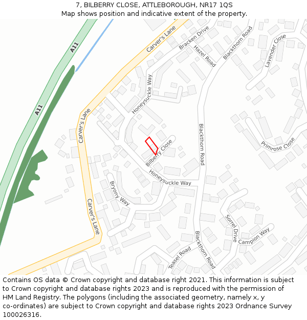7, BILBERRY CLOSE, ATTLEBOROUGH, NR17 1QS: Location map and indicative extent of plot