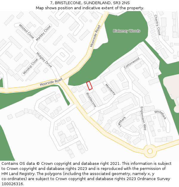 7, BRISTLECONE, SUNDERLAND, SR3 2NS: Location map and indicative extent of plot