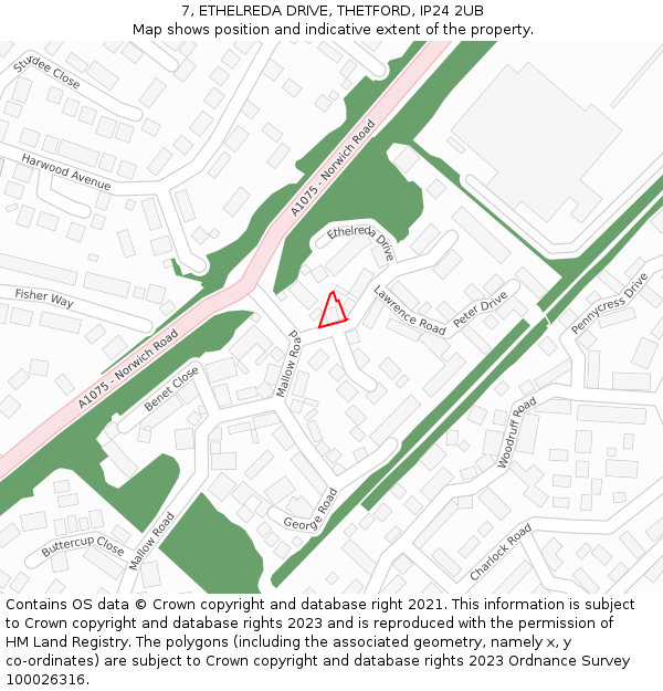 7, ETHELREDA DRIVE, THETFORD, IP24 2UB: Location map and indicative extent of plot