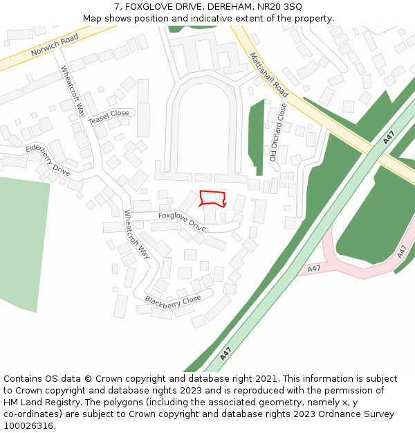 7, FOXGLOVE DRIVE, DEREHAM, NR20 3SQ: Location map and indicative extent of plot