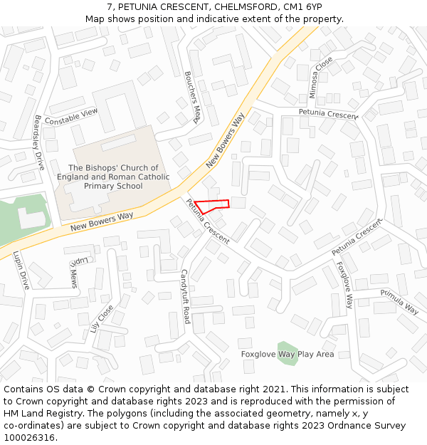 7, PETUNIA CRESCENT, CHELMSFORD, CM1 6YP: Location map and indicative extent of plot